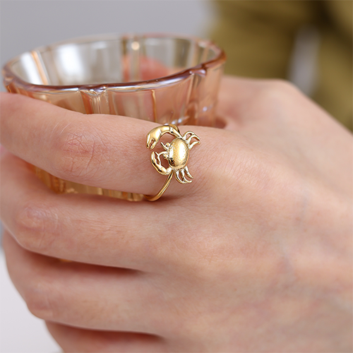 Goudkleurige ring met gedetailleerde krab – zomerse ring van roestvrij staal als sierbeeld