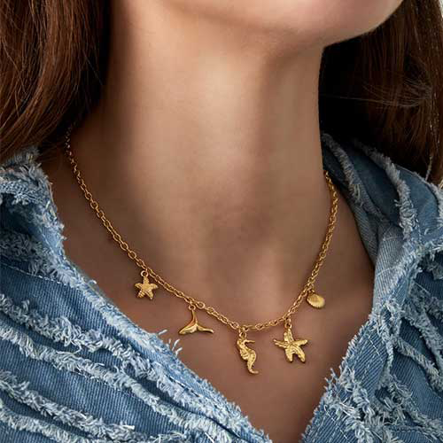 Zilverkleurige stainless steel bedelketting met zeesterren, staartvin, zeepaardje en schelp – strandthema voor een zomerse look, passend bij iedere outfit.