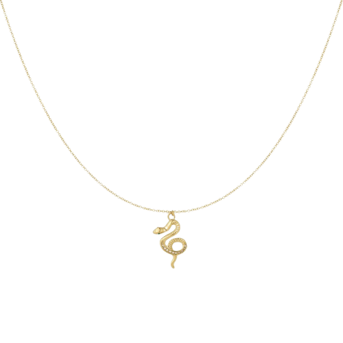 Goudkleurige Poisson ketting met elegante slanghanger, symbool voor kracht en transformatie, perfect voor een chique en mysterieuze uitstraling